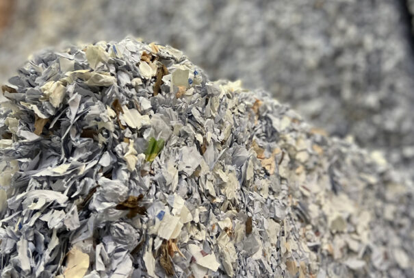 Shredded paper
